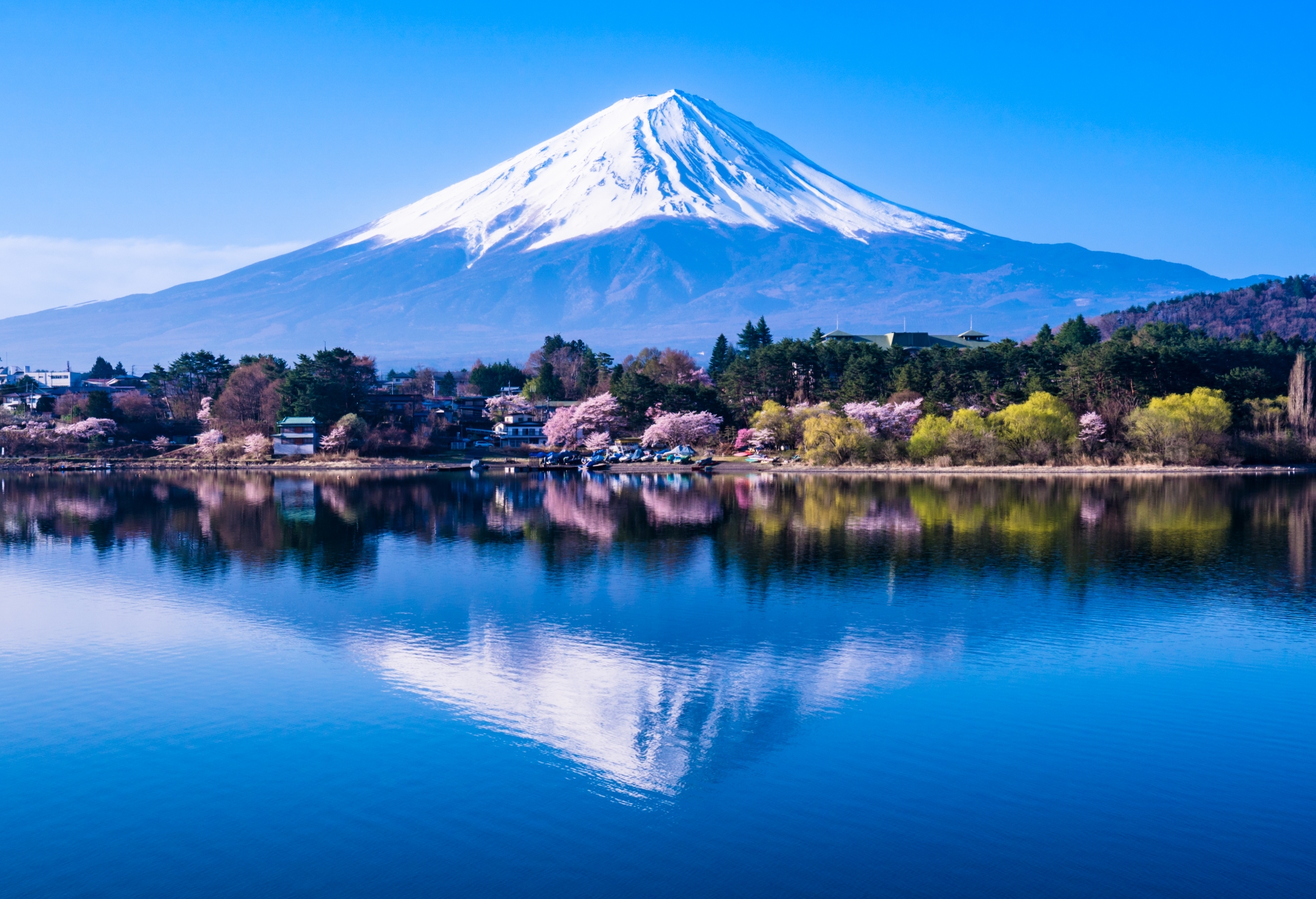 河口湖・富士山の風景