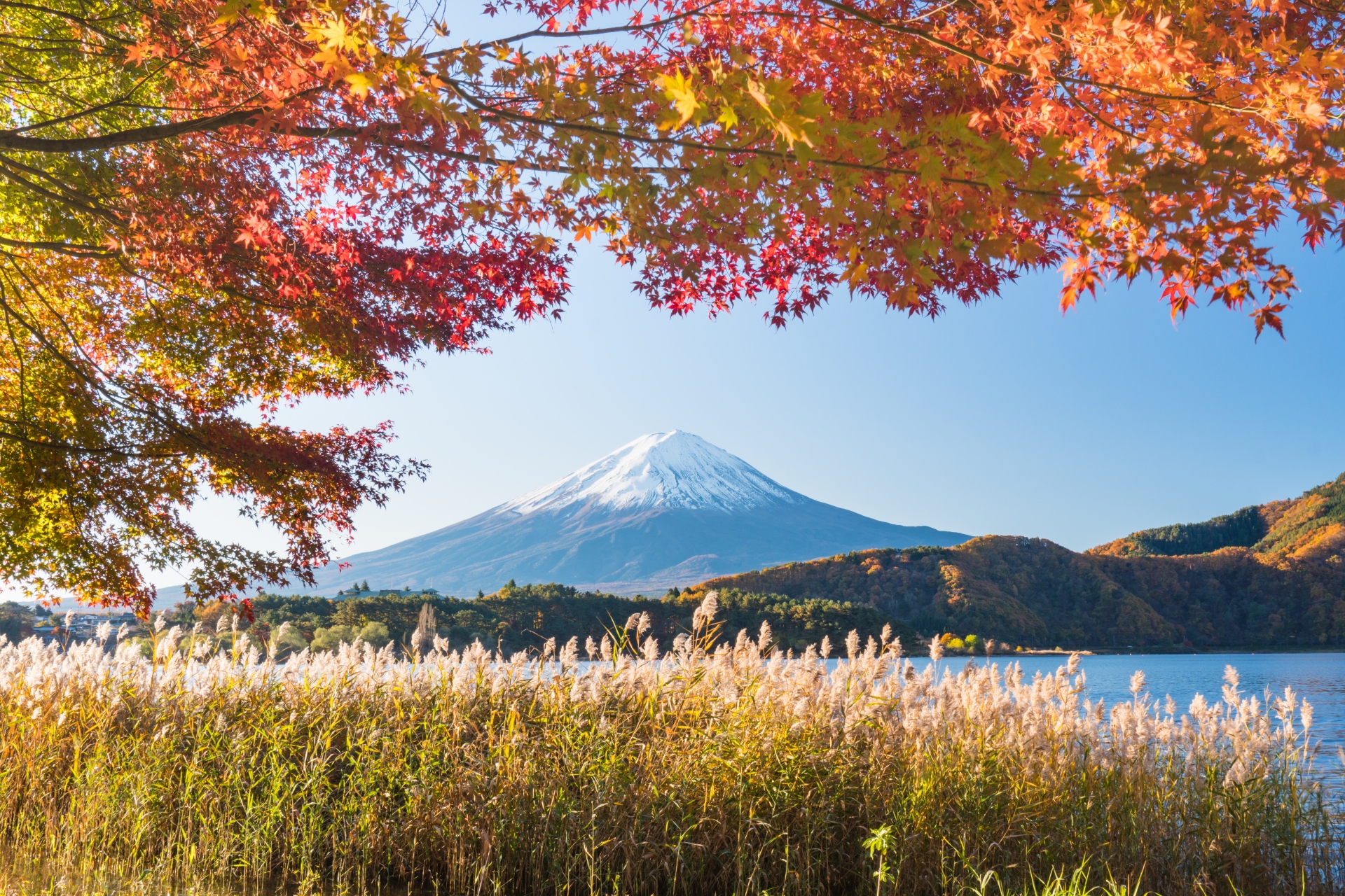 富士山と紅葉イメージ